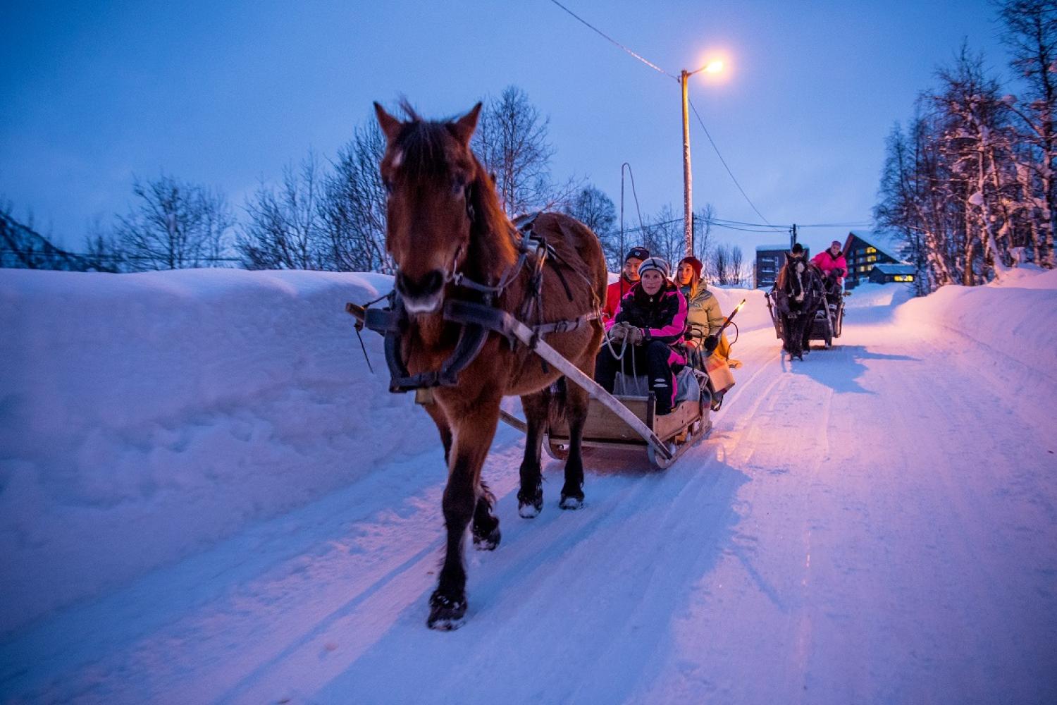 Horse sleigh rides in  Myrkdalen 